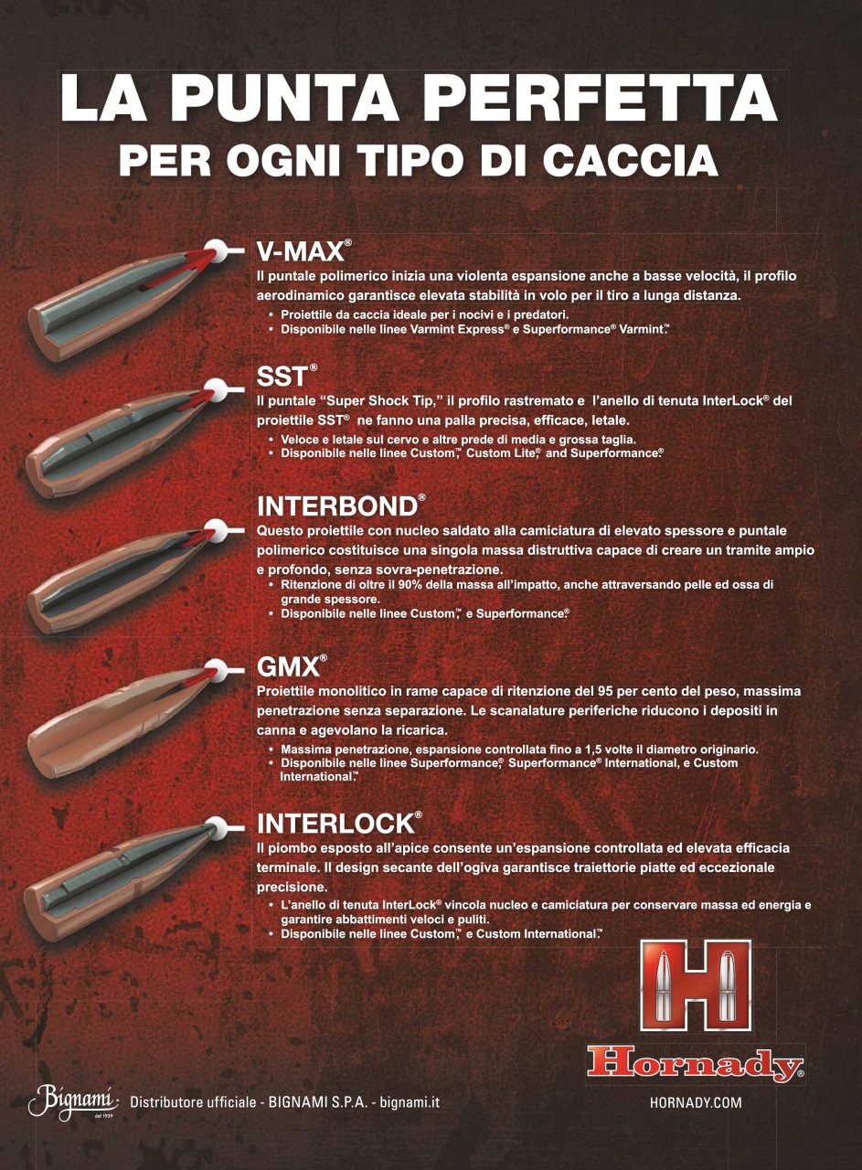 Caccia Magazine Preview Pages