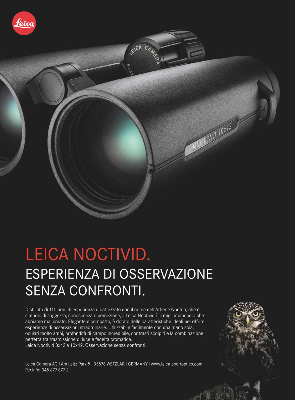 Caccia Magazine Preview Pages