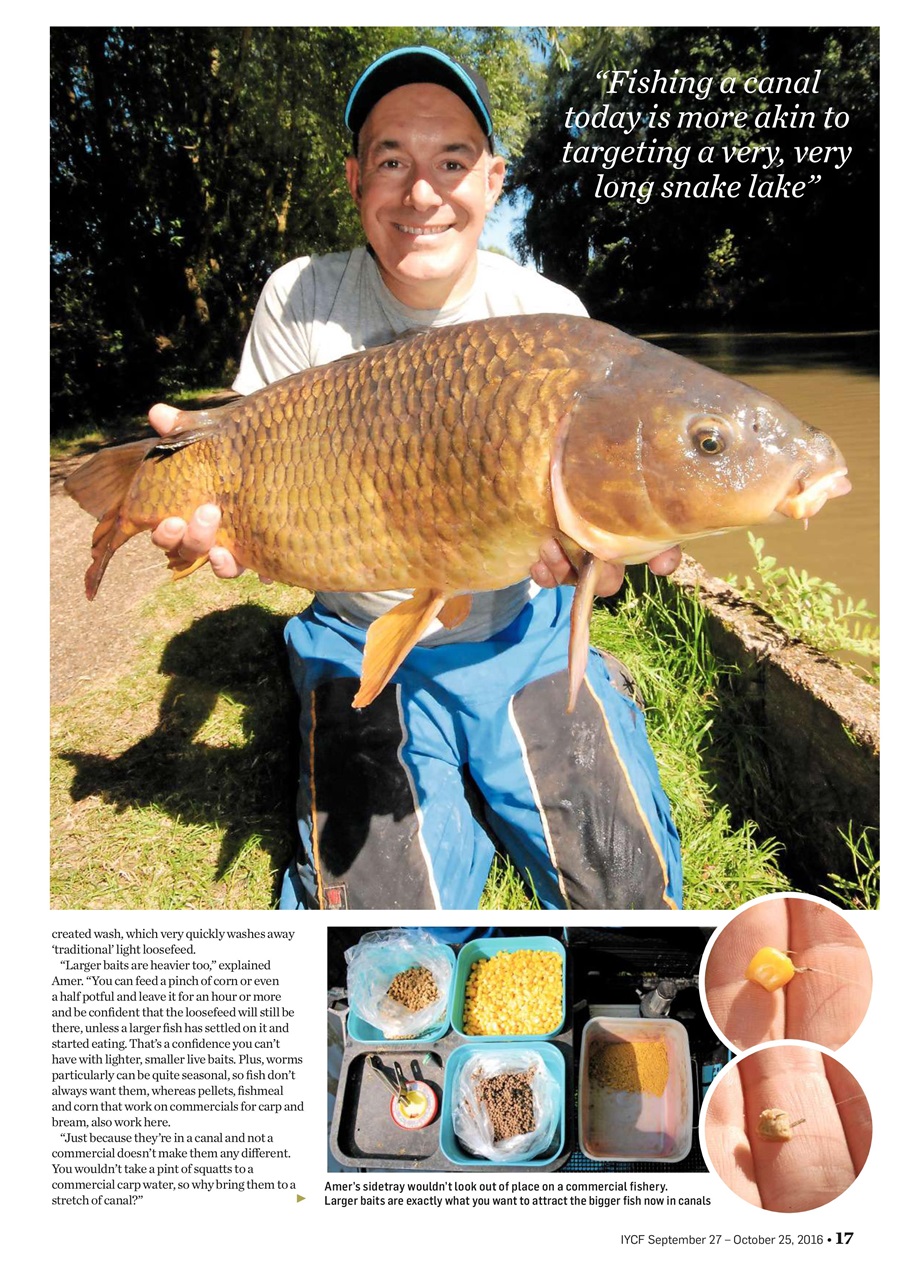 Improve Your Coarse Fishing Preview Pages