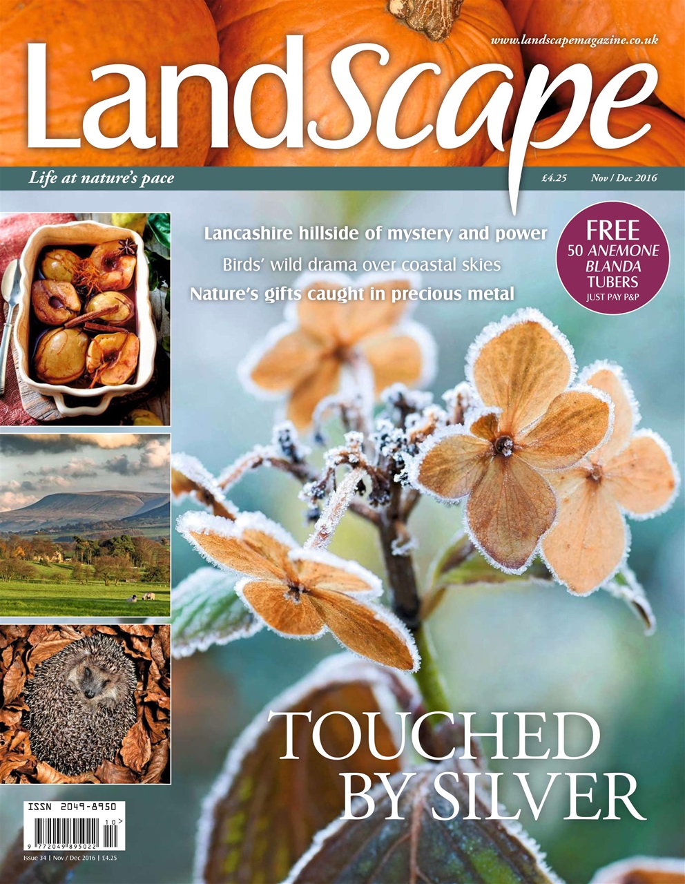 LandScape Preview Pages