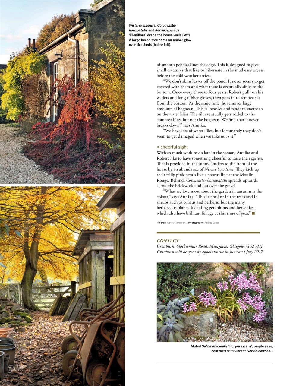 LandScape Preview Pages