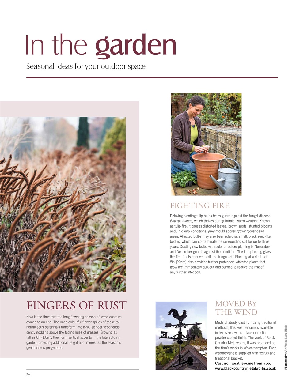 LandScape Preview Pages