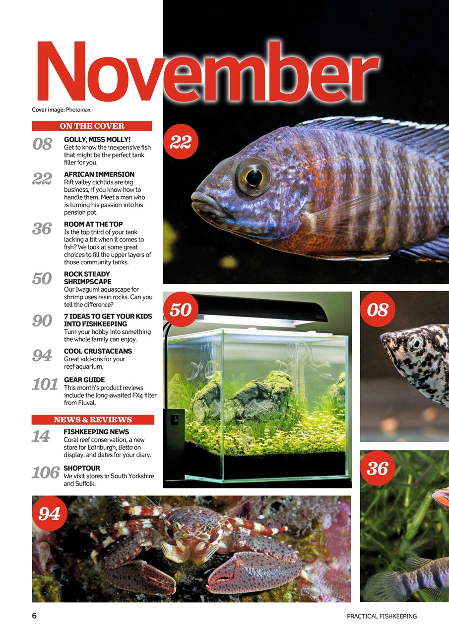 Practical Fishkeeping Preview Pages