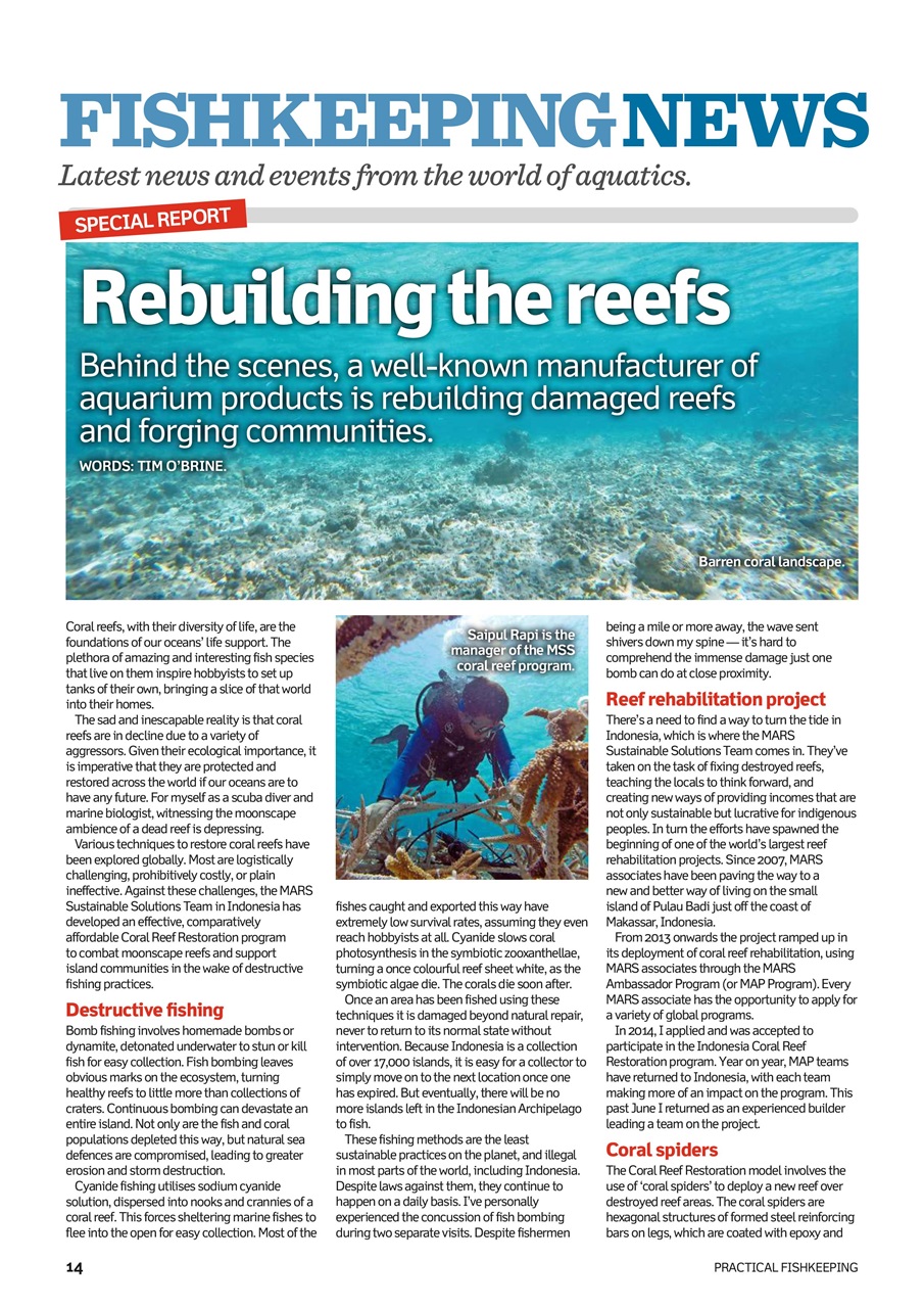 Practical Fishkeeping Preview Pages