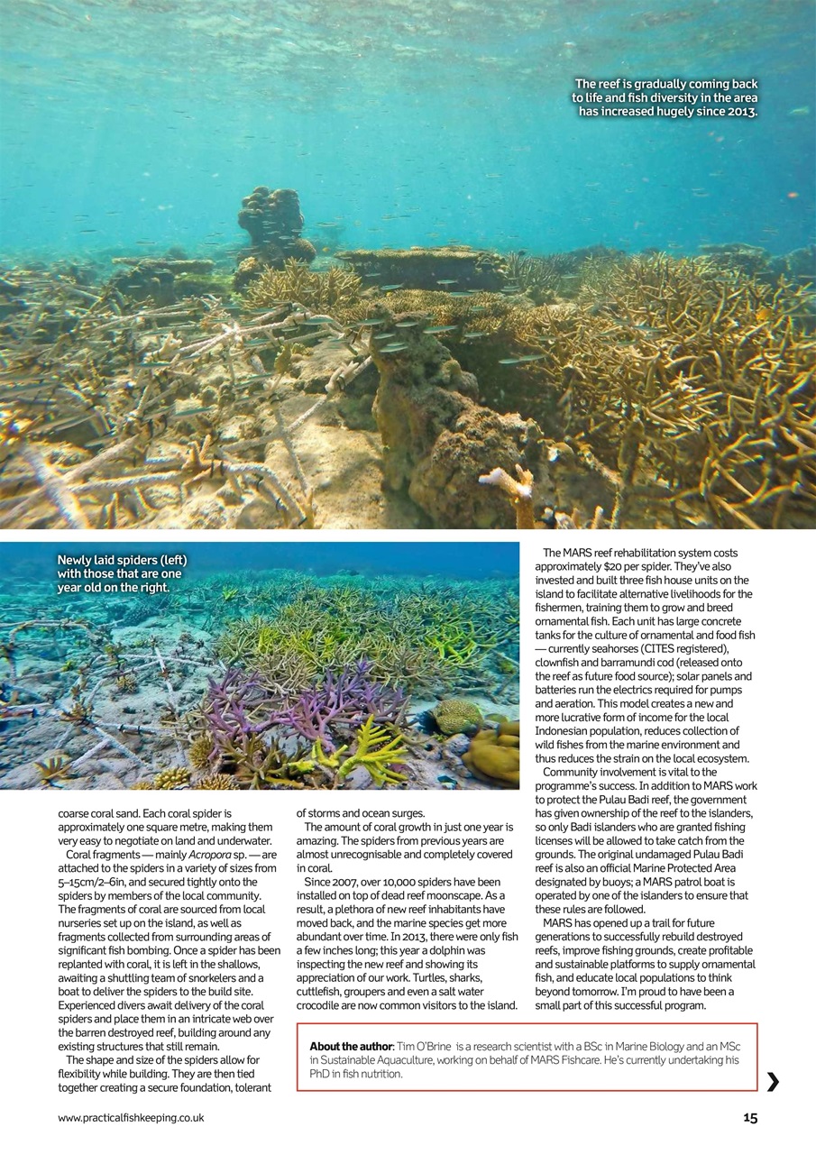 Practical Fishkeeping Preview Pages