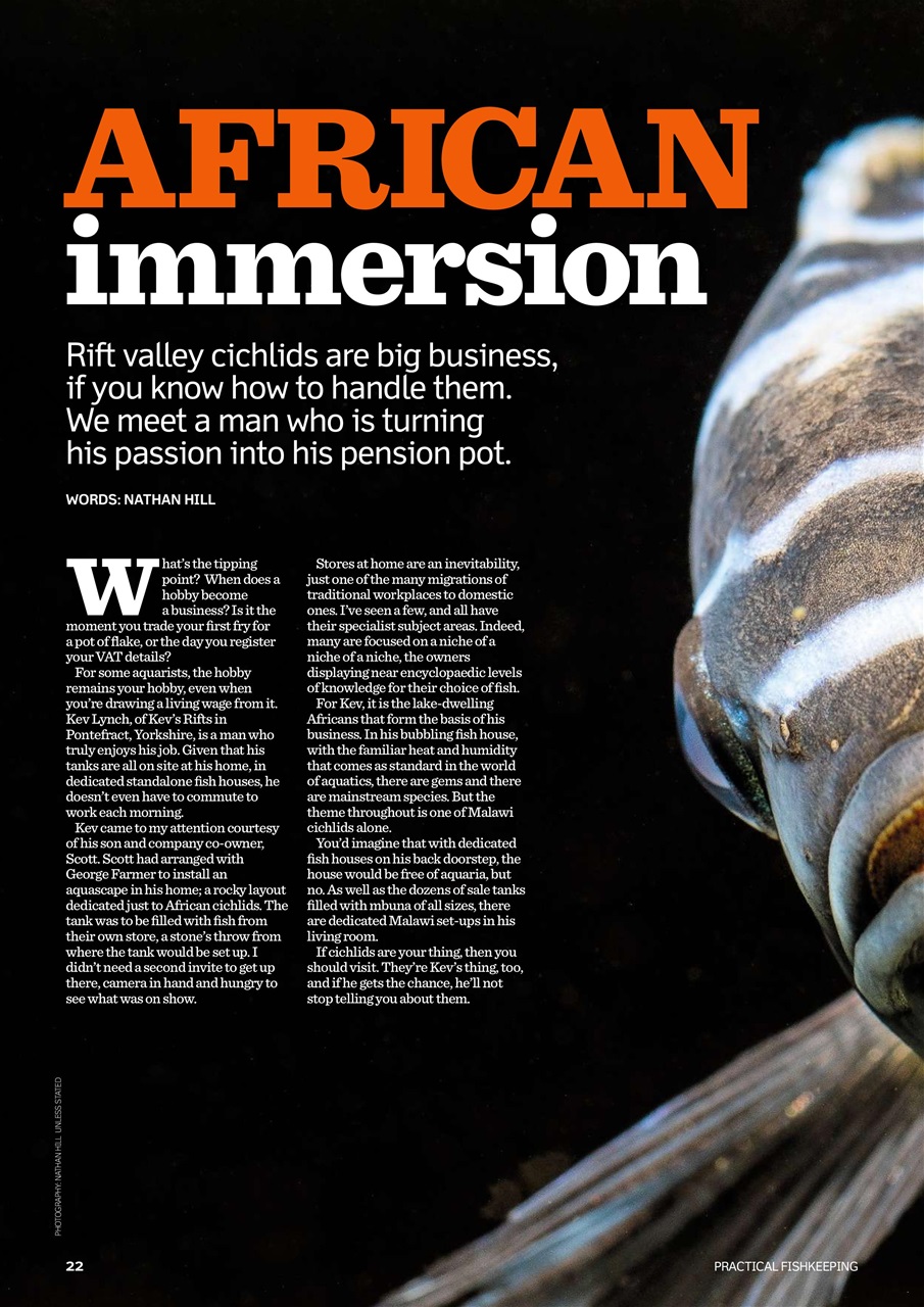 Practical Fishkeeping Preview Pages