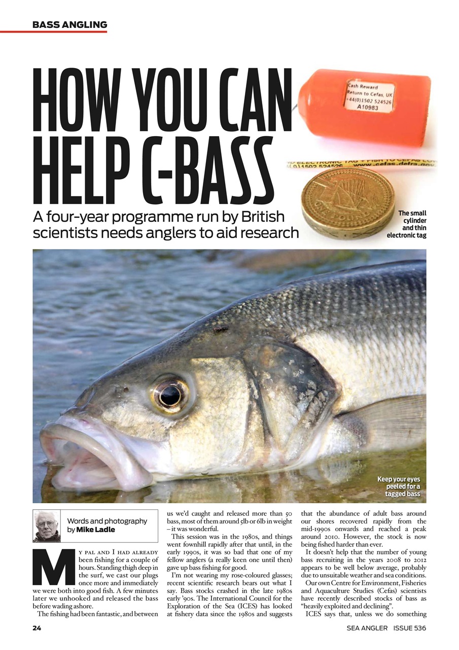 Sea Angler Preview Pages