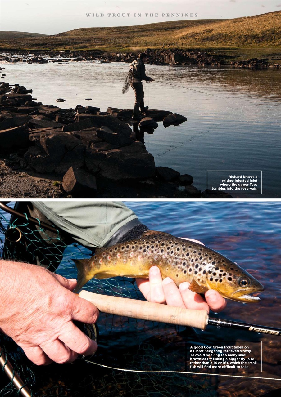 Trout & Salmon Preview Pages
