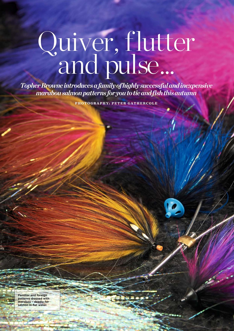 Trout & Salmon Preview Pages