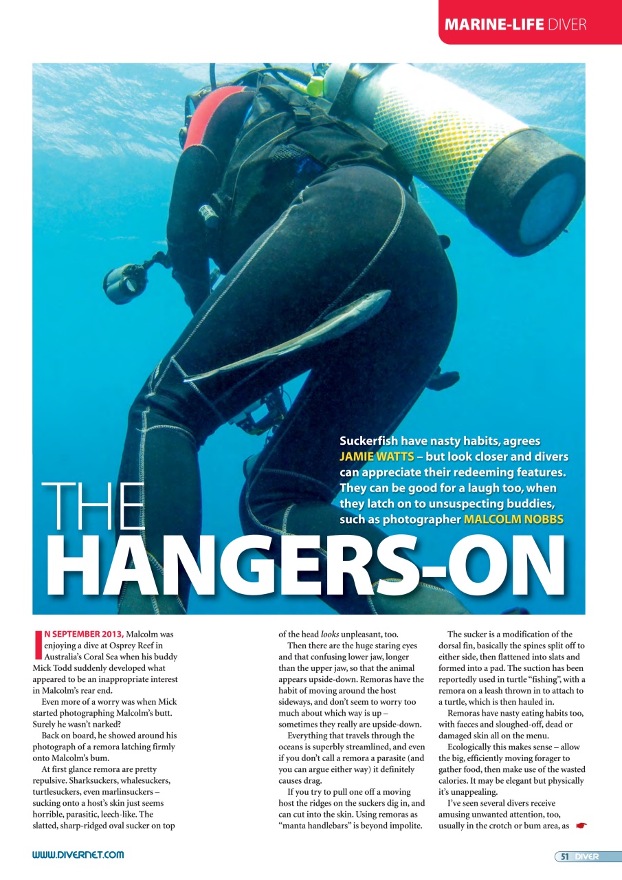 DIVER Preview Pages