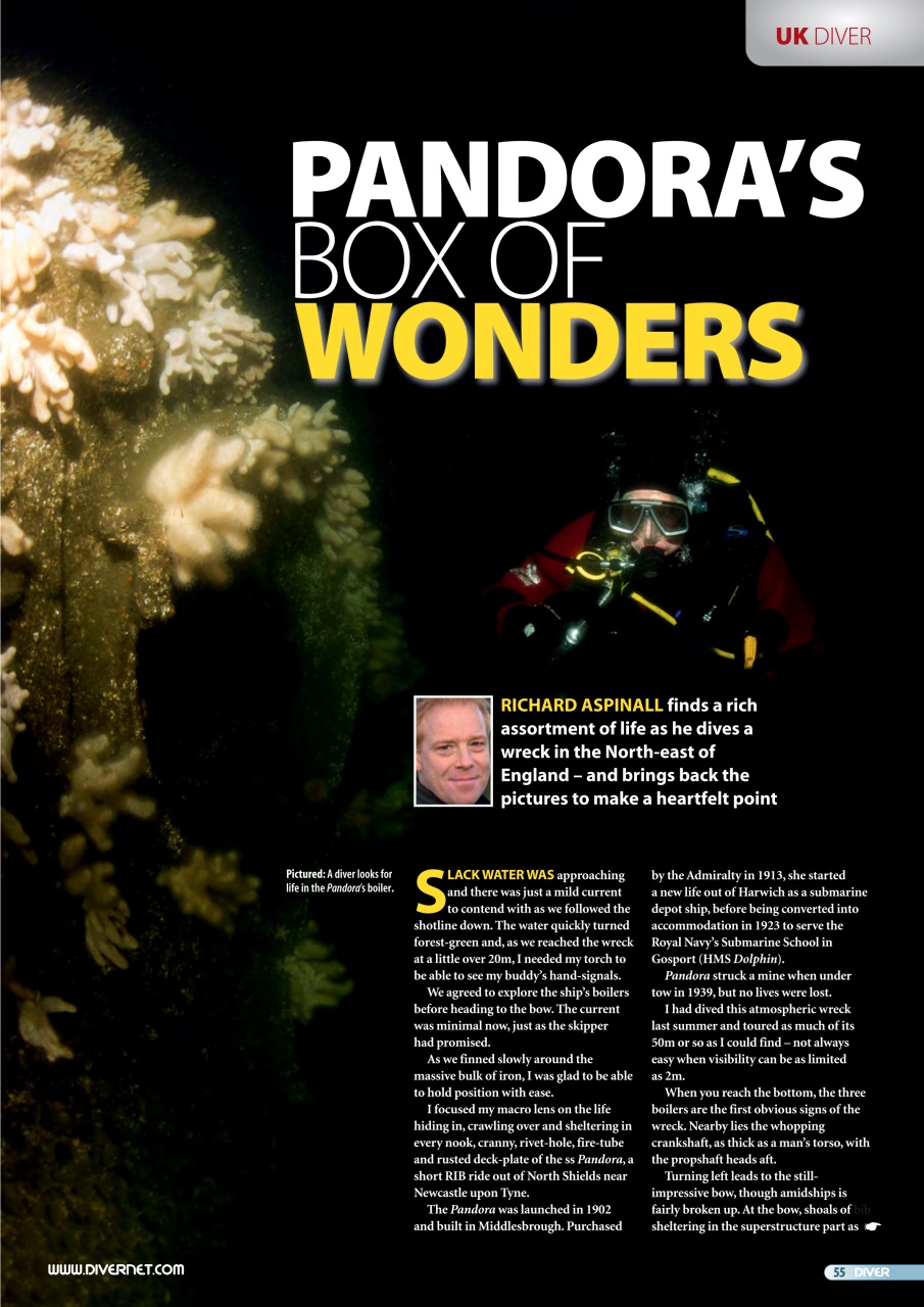 DIVER Preview Pages