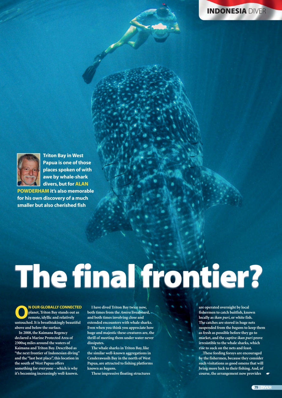 DIVER Preview Pages