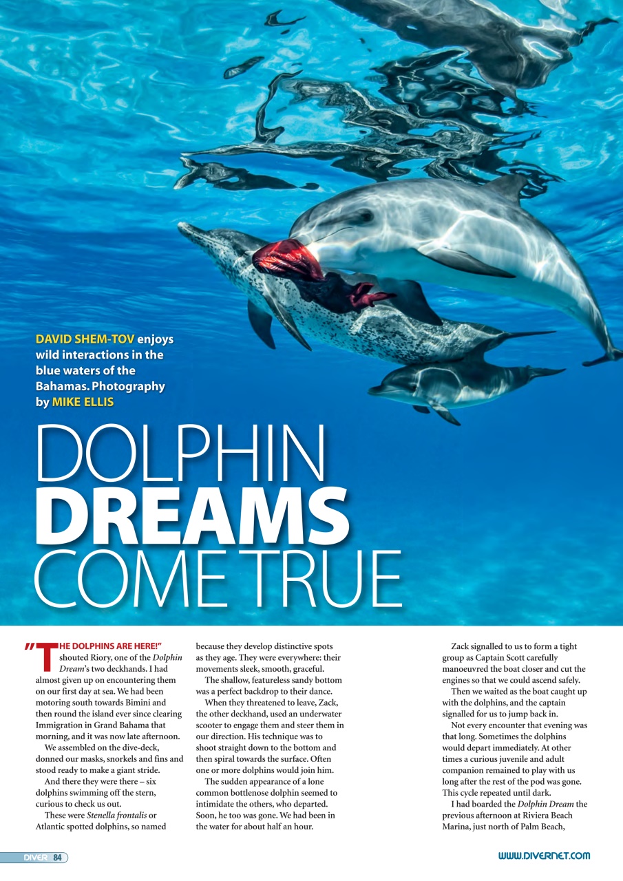 DIVER Preview Pages