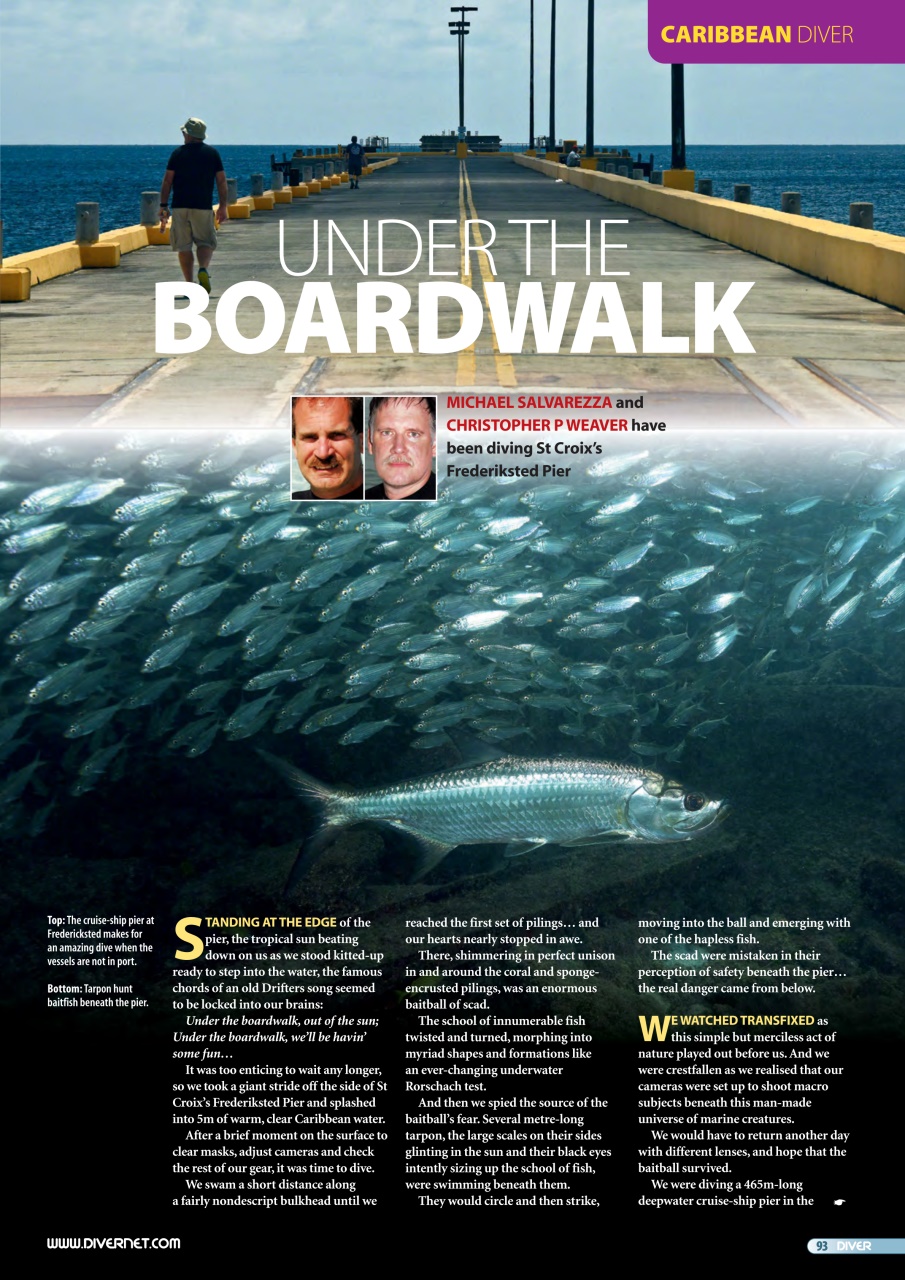 DIVER Preview Pages