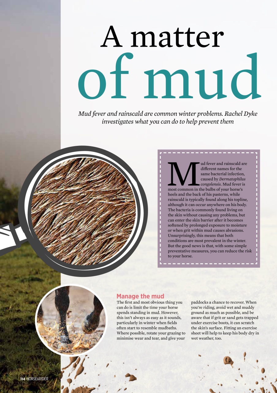Horse&Rider Magazine - UK equestrian magazine for Horse and Rider Preview Pages