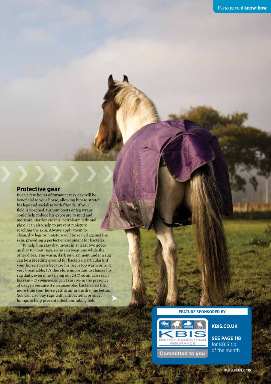 Horse&Rider Magazine - UK equestrian magazine for Horse and Rider Preview Pages