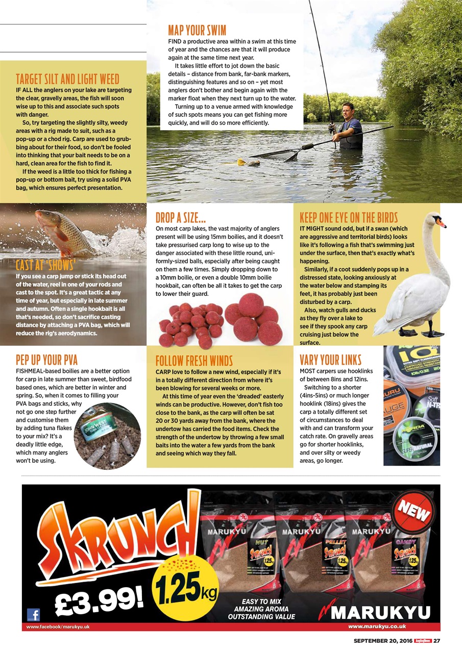 Angling Times Preview Pages