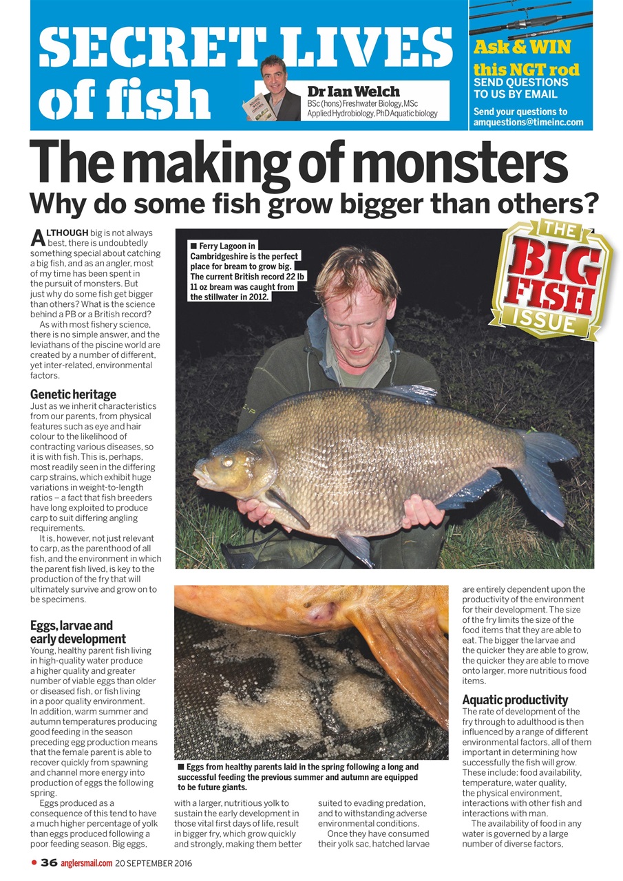 Anglers Mail Preview Pages