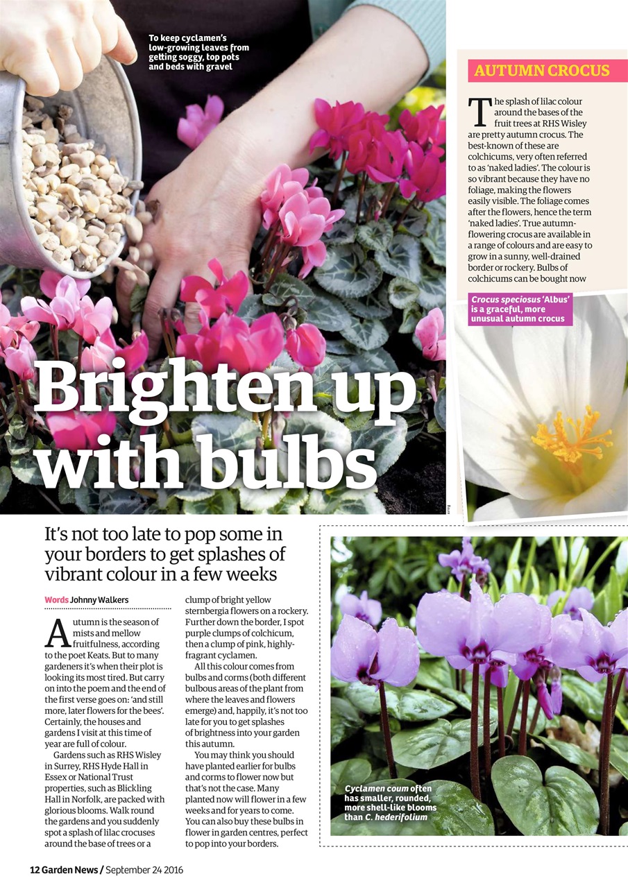Garden News Preview Pages