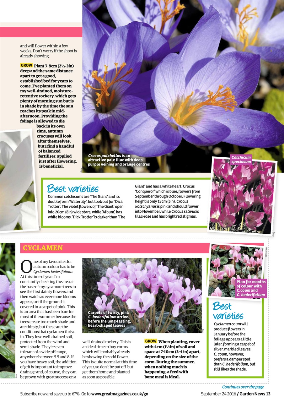 Garden News Preview Pages