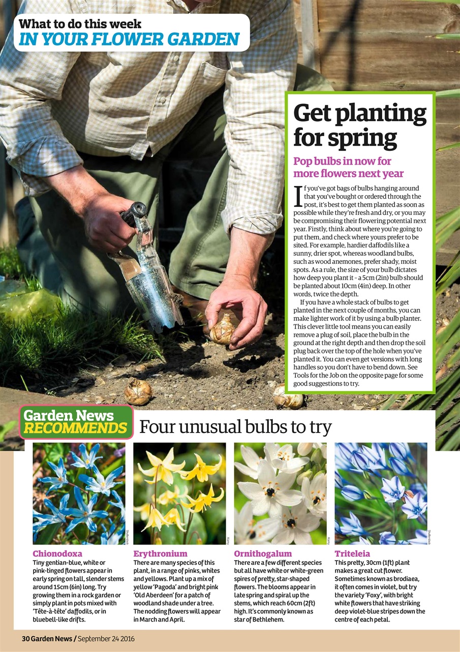 Garden News Preview Pages