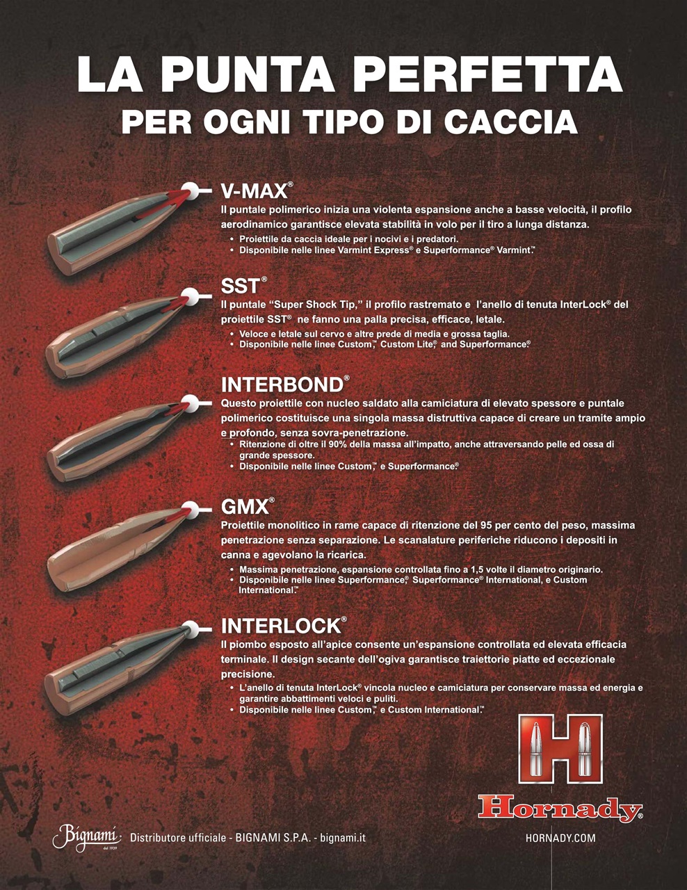 Caccia Magazine Preview Pages