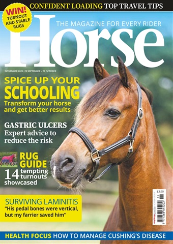 Horse issue Nov-16