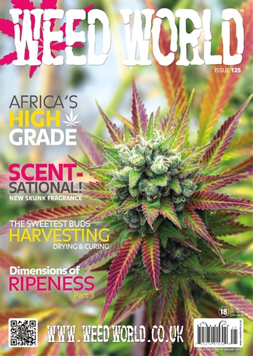 Weed World issue 