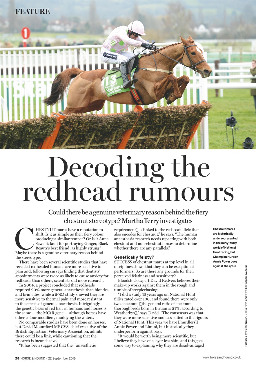 Horse & Hound Preview Pages