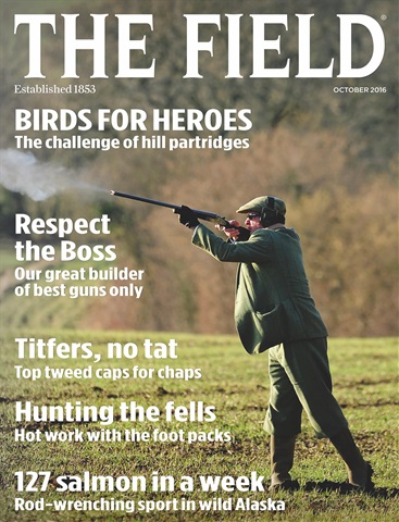 The Field issue October 2016