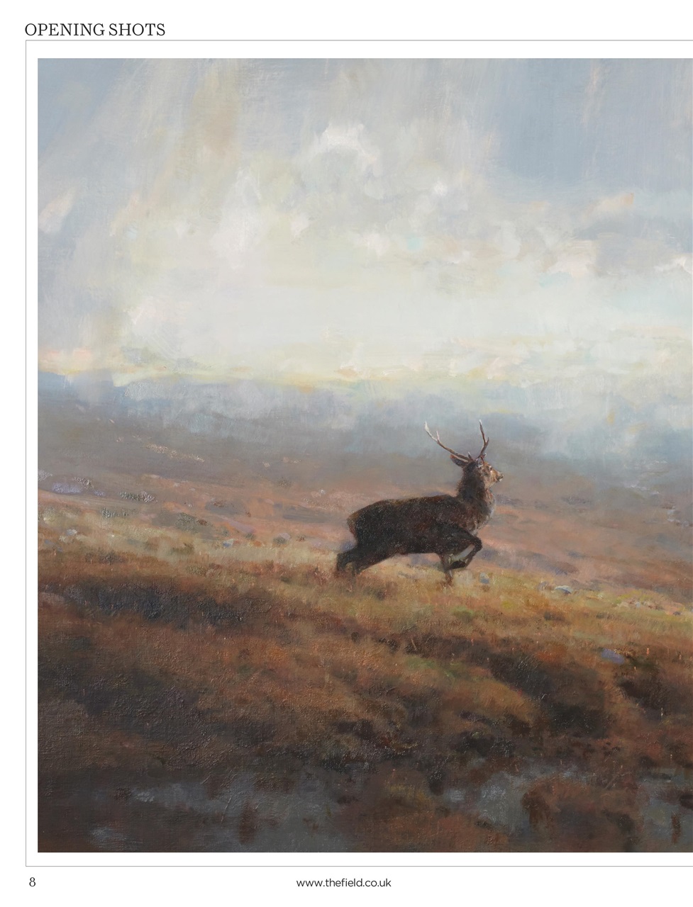 The Field Preview Pages