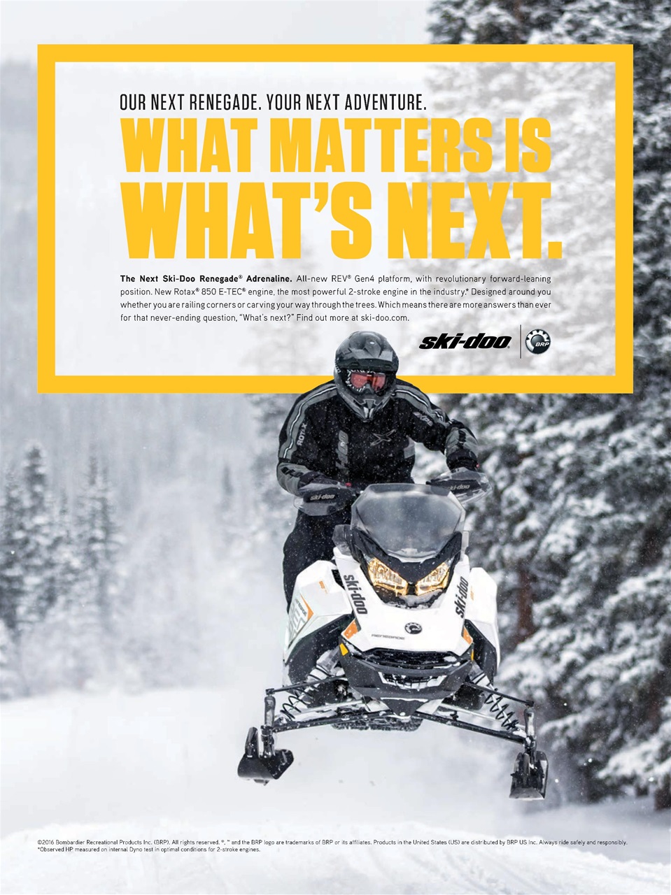 SnowGoer Preview Pages