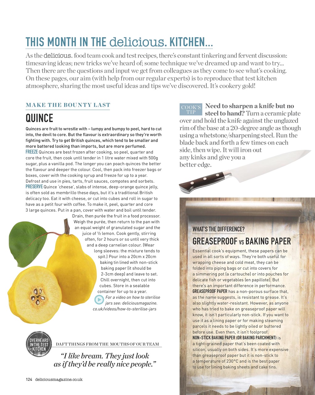 delicious. Magazine Preview Pages