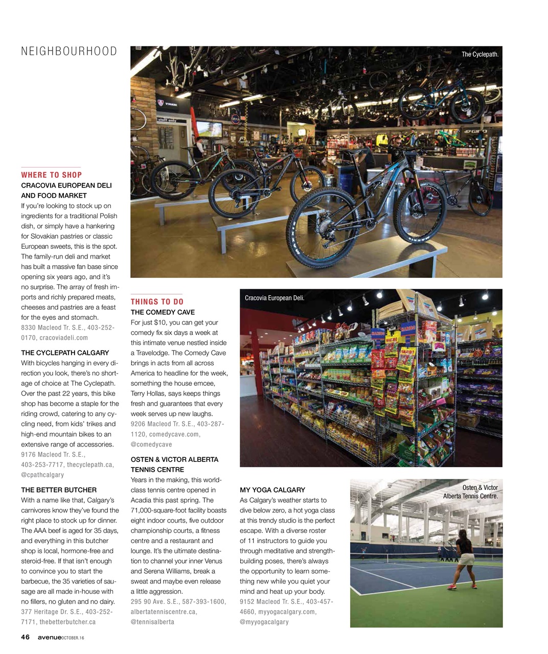 Avenue Calgary Preview Pages