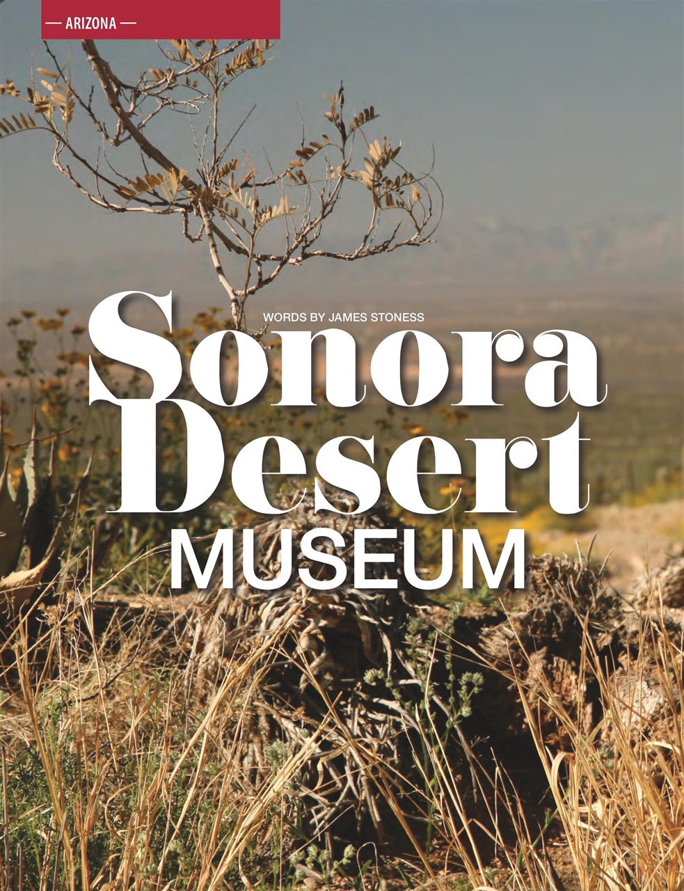 Snowbirds & RV Travelers Preview Pages