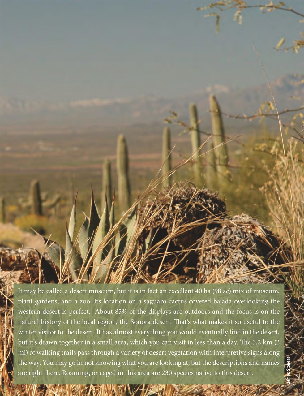 Snowbirds & RV Travelers Preview Pages