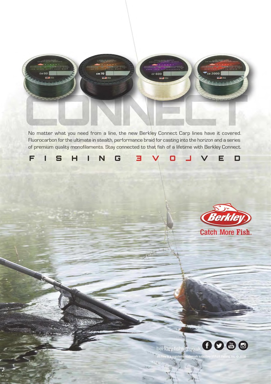 Carpworld Preview Pages