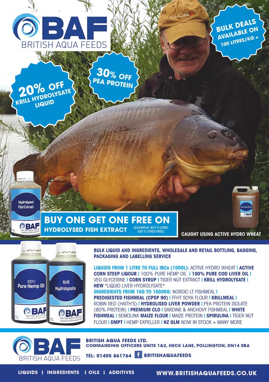 Carpworld Preview Pages