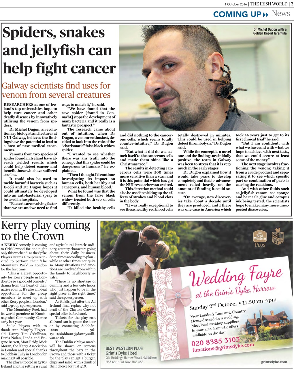 Irish World Preview Pages