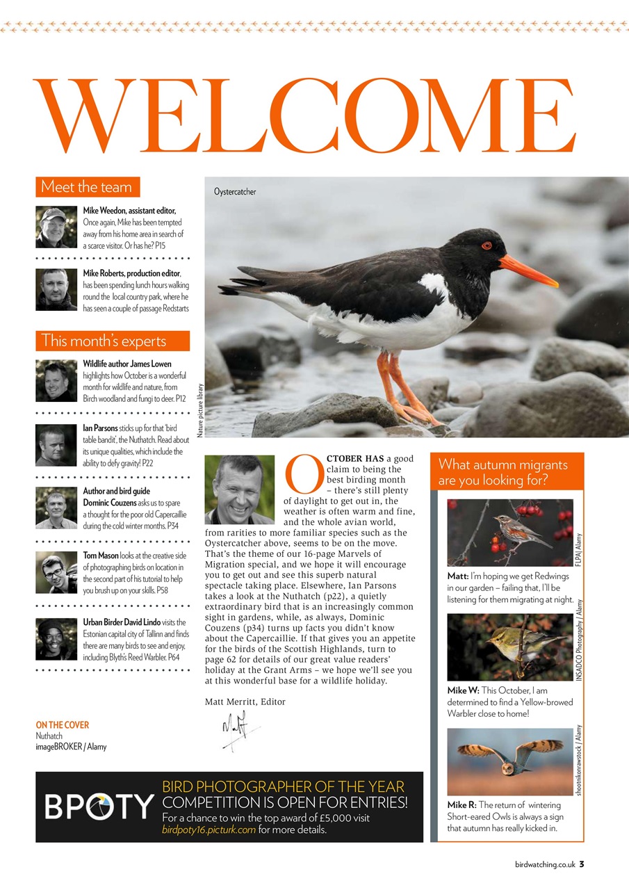 Bird Watching Preview Pages