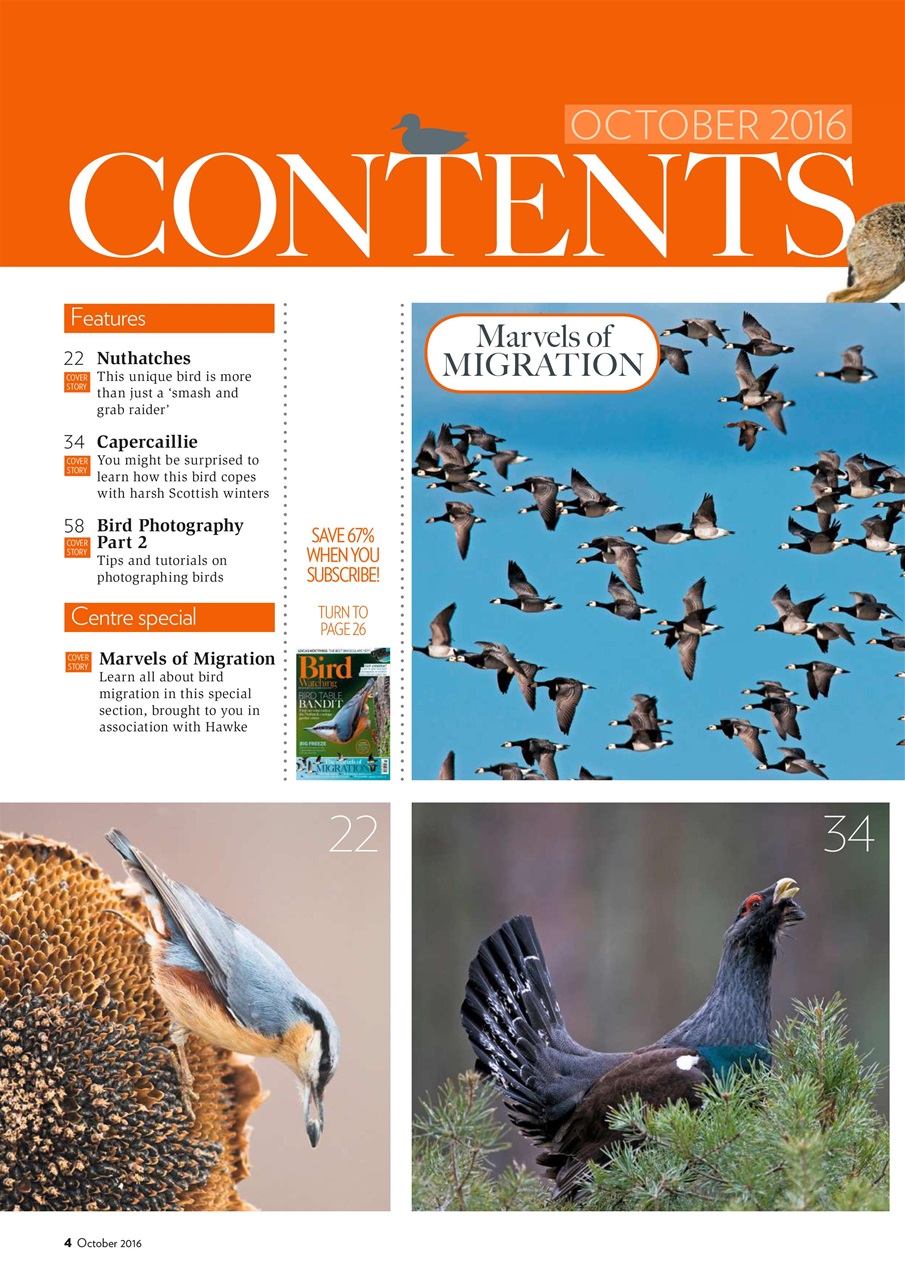 Bird Watching Preview Pages