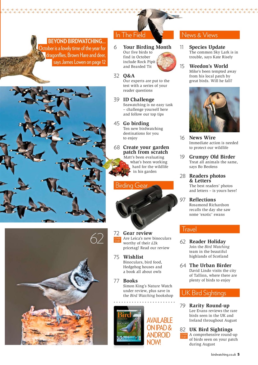 Bird Watching Preview Pages