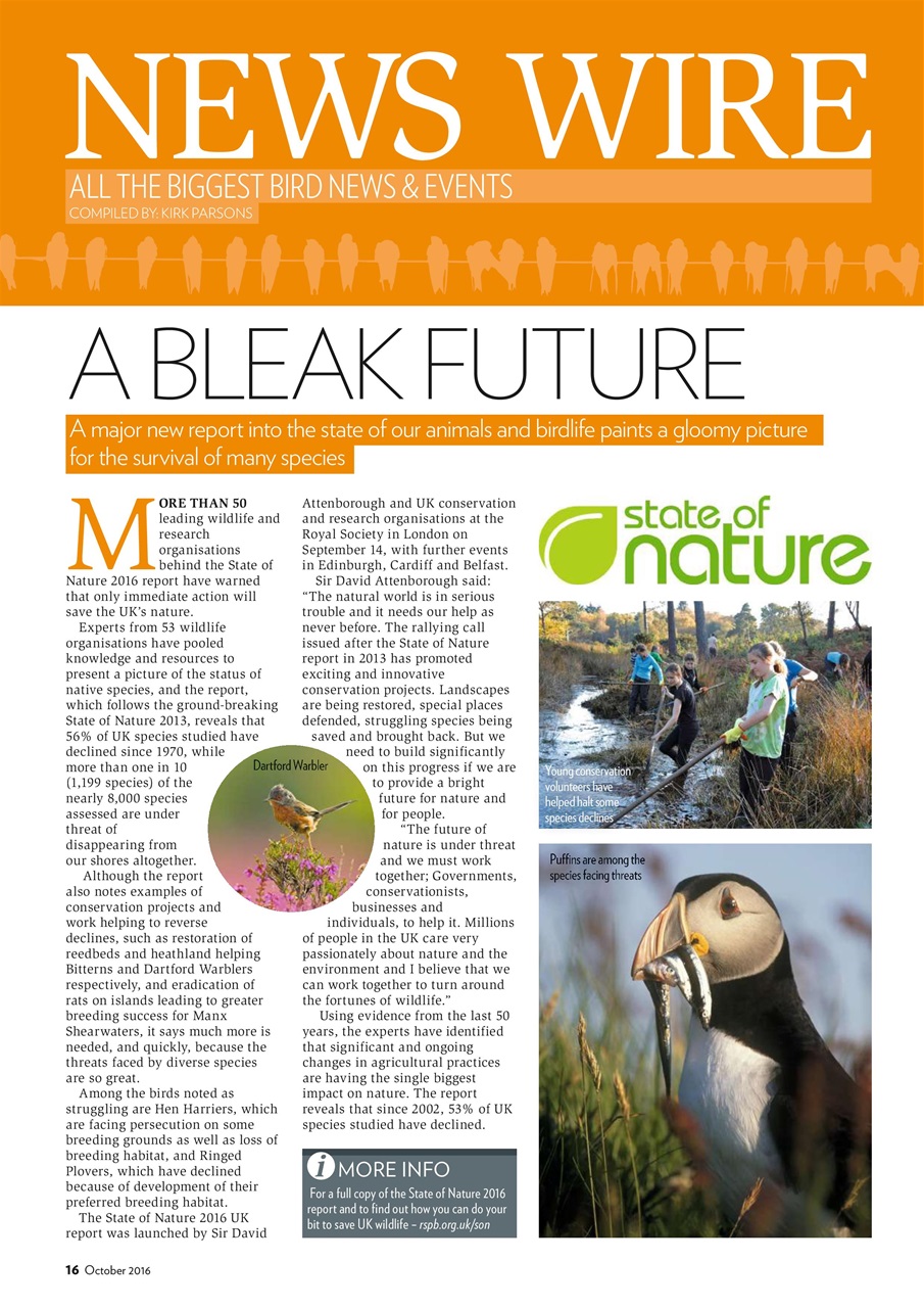 Bird Watching Preview Pages