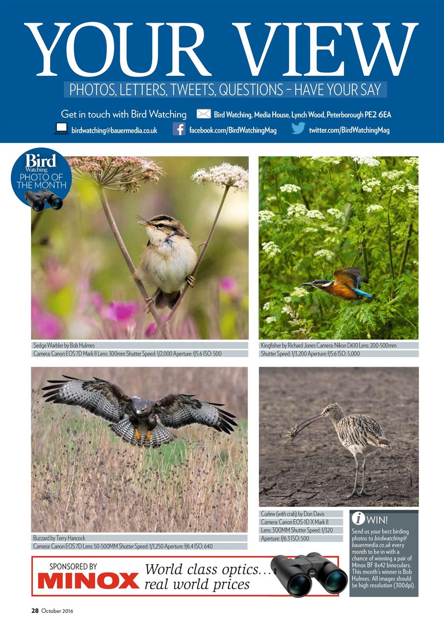 Bird Watching Preview Pages