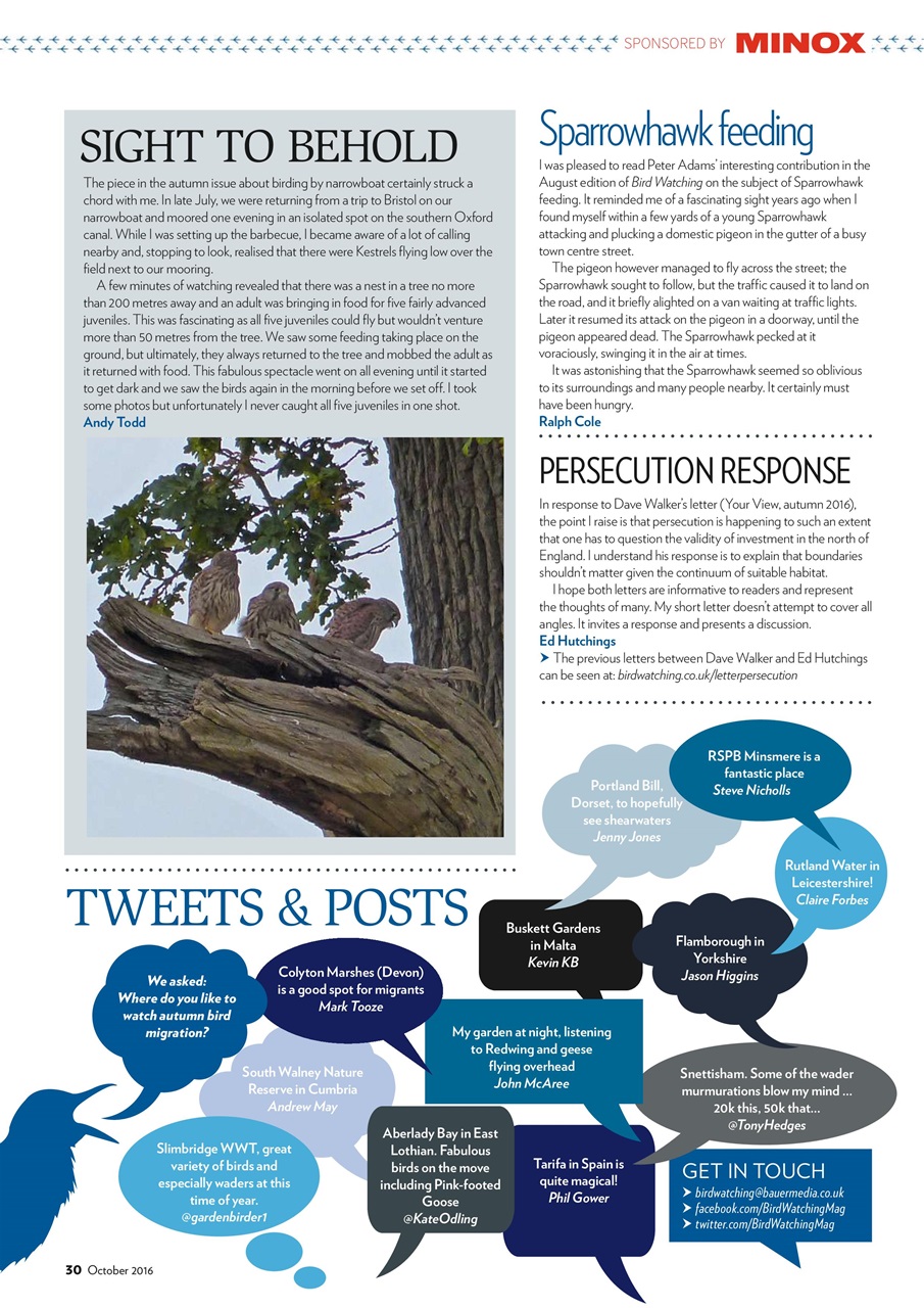 Bird Watching Preview Pages