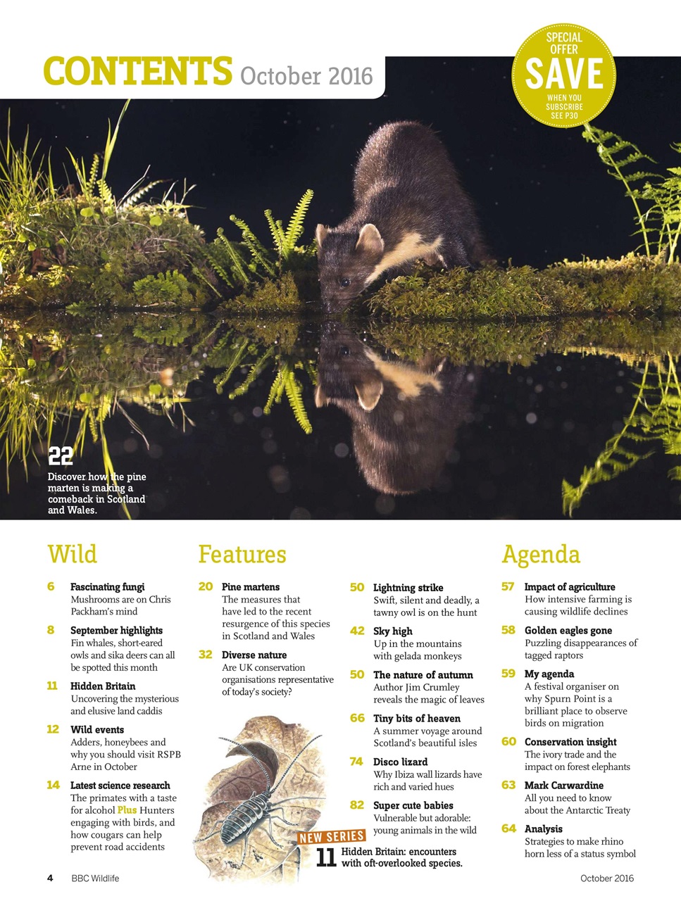 BBC Wildlife Magazine Preview Pages