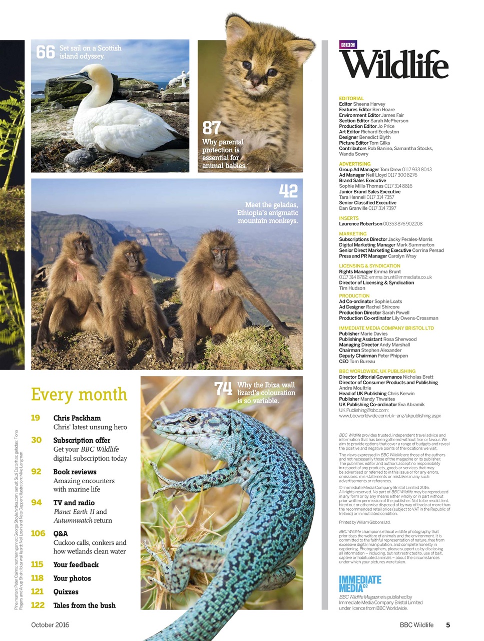 BBC Wildlife Magazine Preview Pages