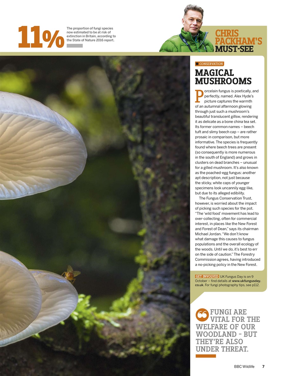 BBC Wildlife Magazine Preview Pages