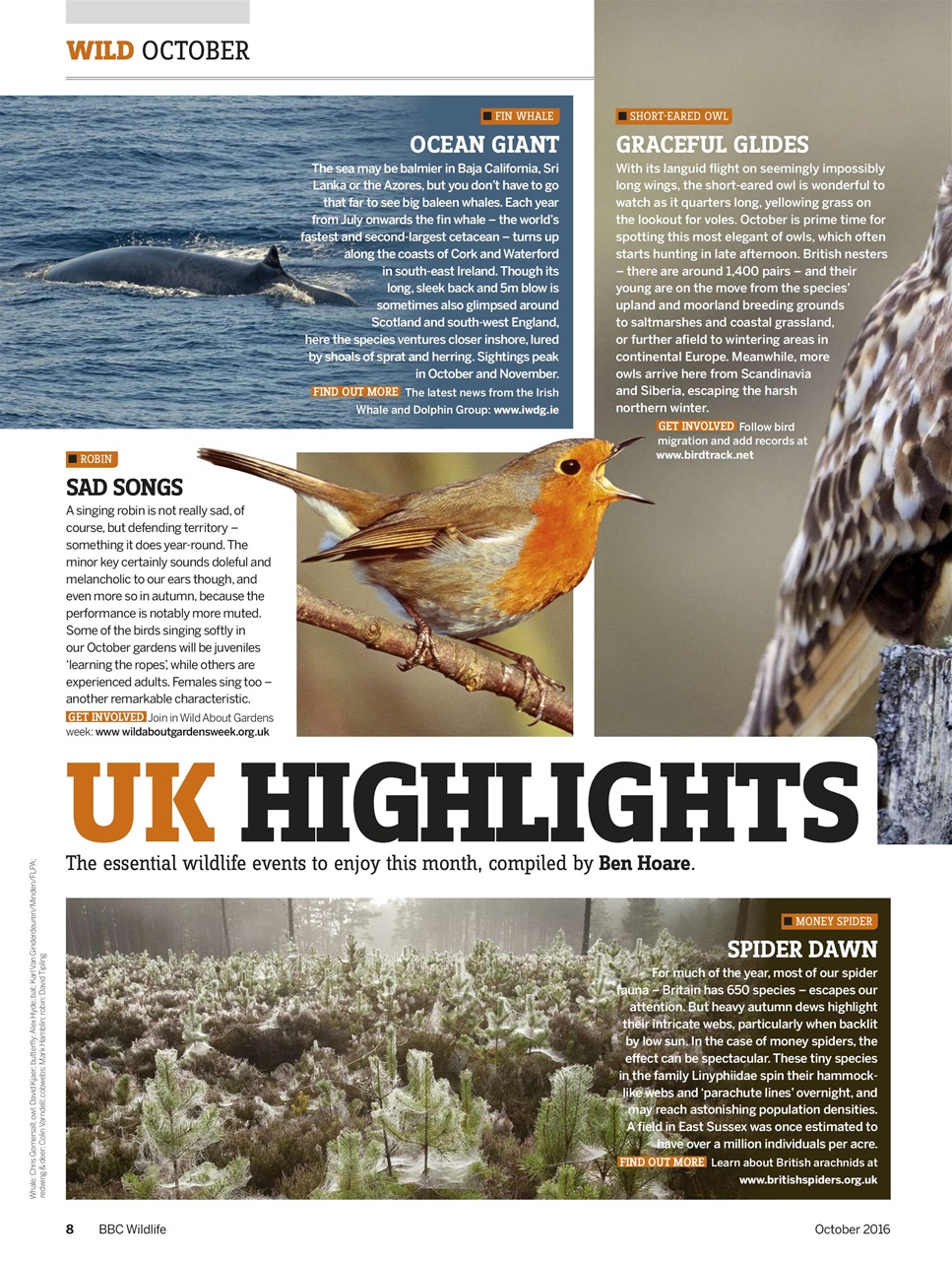 BBC Wildlife Magazine Preview Pages