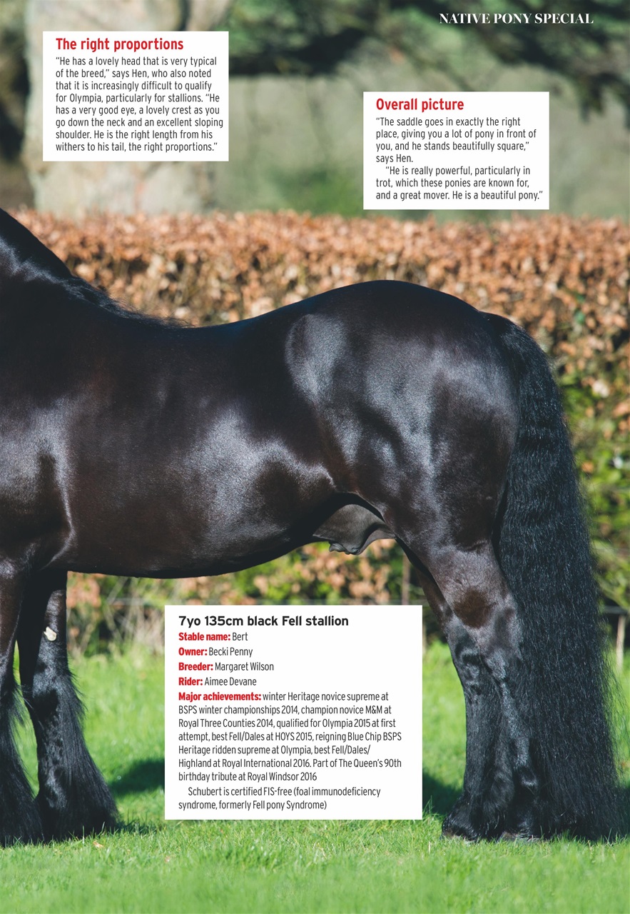 Horse & Hound Preview Pages